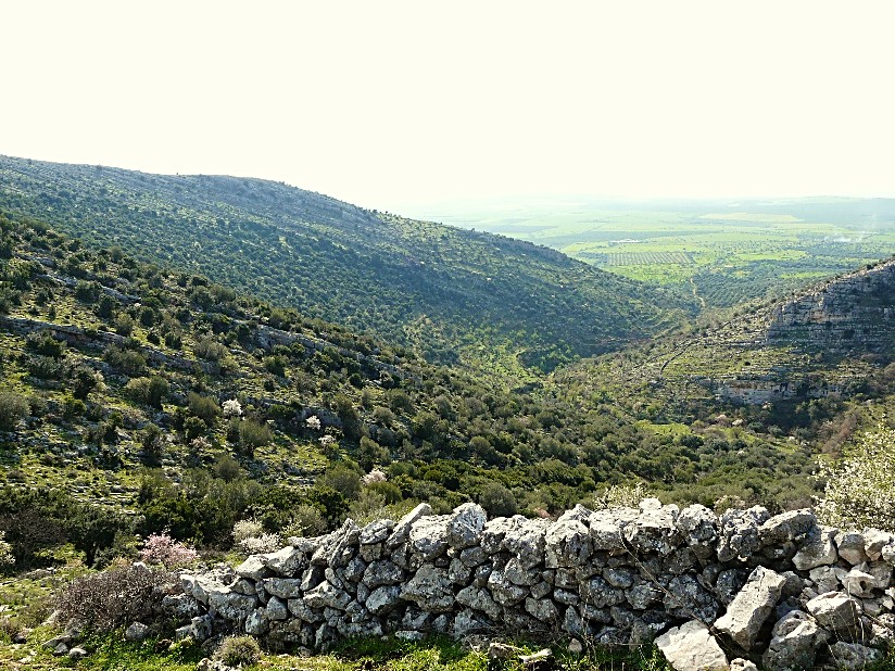 Monte Ividori con valle di Vituro...e vista sul Tavoliere
